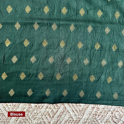 Kalamkari With Checks