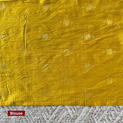 Kalamkari With Checks