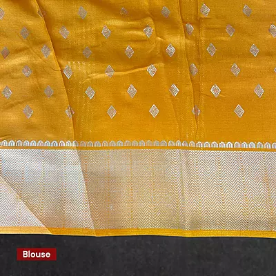 Holi Saree