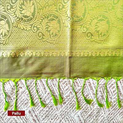 Stripes With Peacock